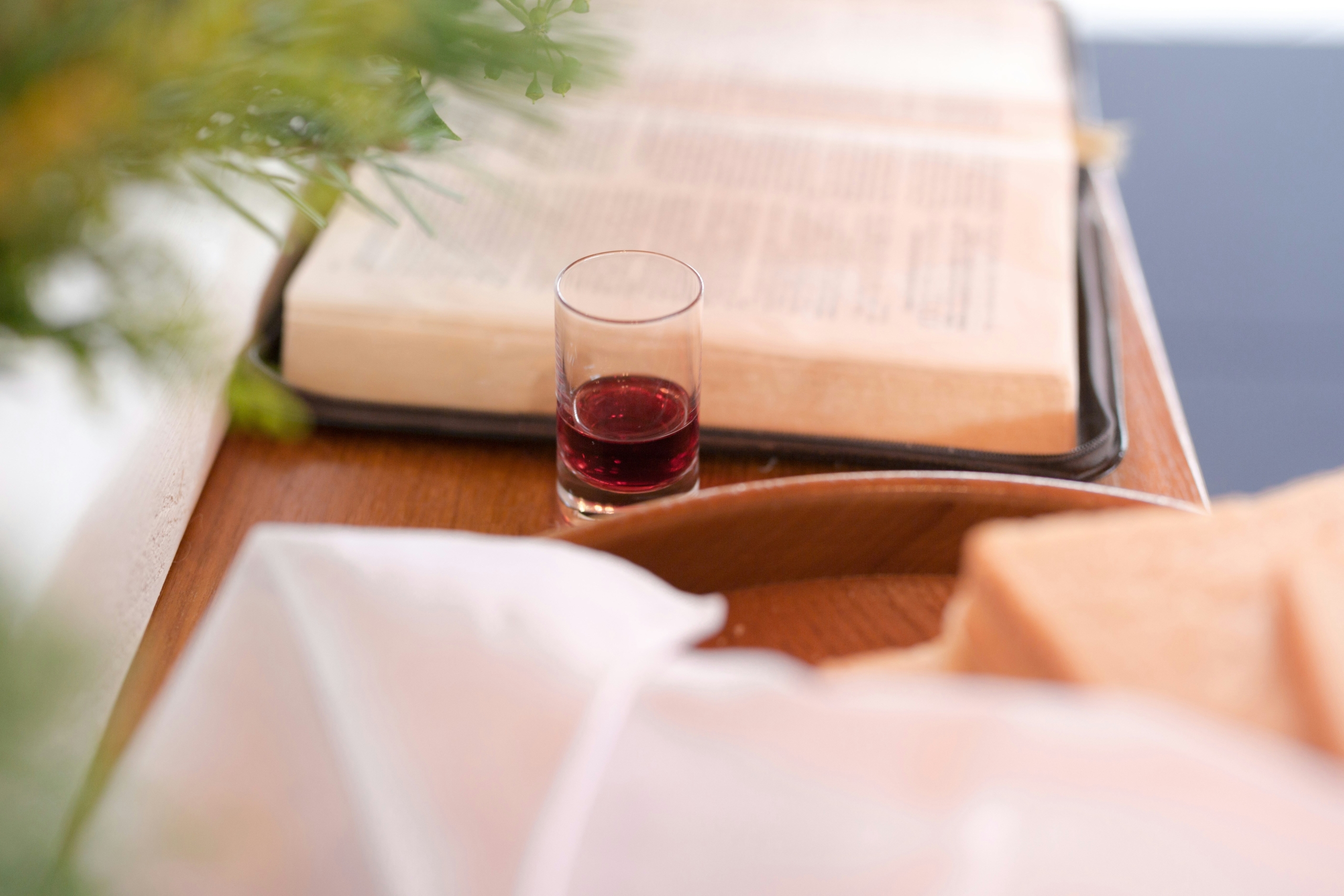 Lords supper Lords supper